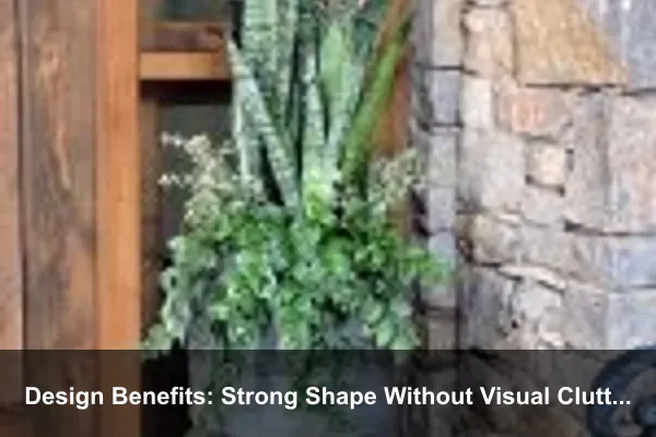 Design Benefits: Strong Shape Without Visual Clutter
