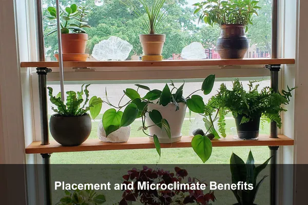 Placement and Microclimate Benefits