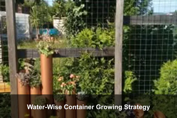 Water-Wise Container Growing Strategy