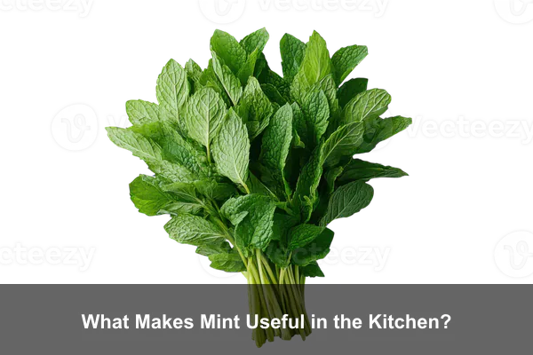 What Makes Mint Useful in the Kitchen?