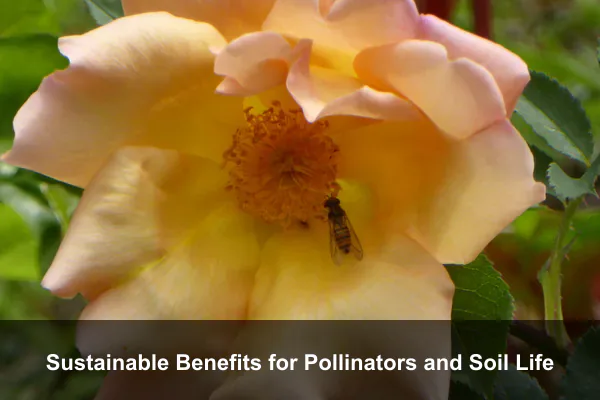Sustainable Benefits for Pollinators and Soil Life