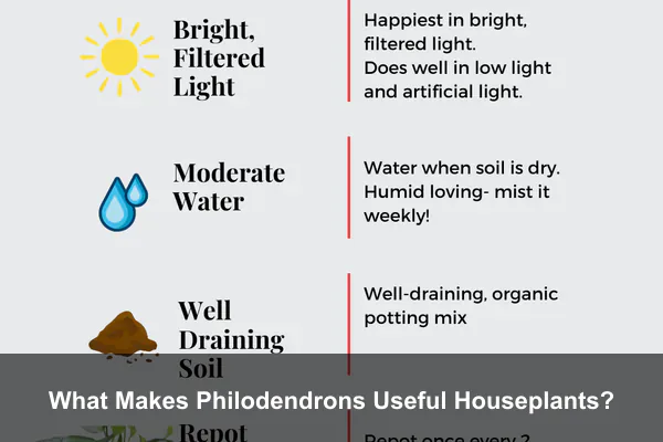 What Makes Philodendrons Useful Houseplants?