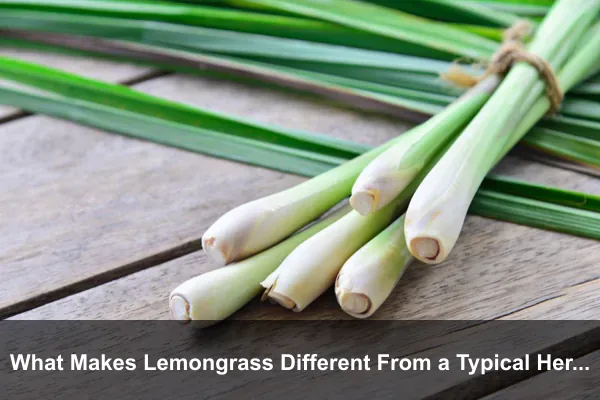 What Makes Lemongrass Different From a Typical Herb?
