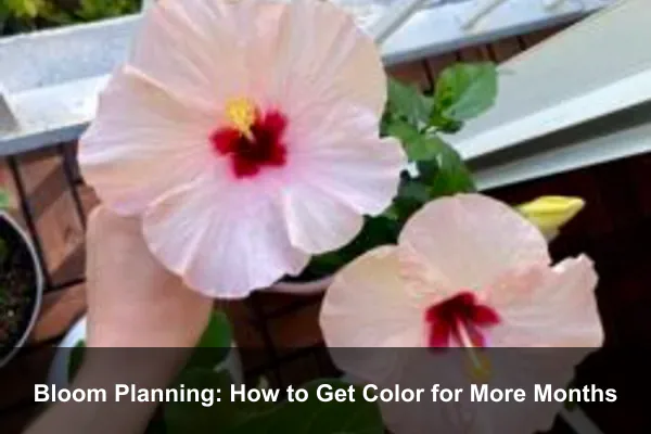 Bloom Planning: How to Get Color for More Months