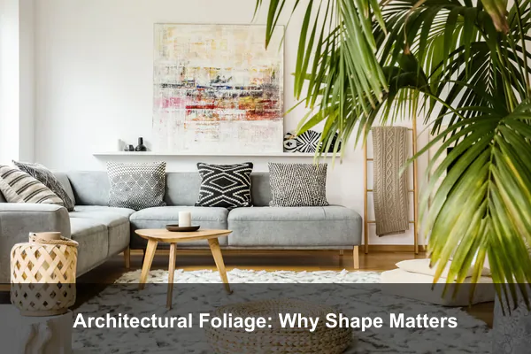 Architectural Foliage: Why Shape Matters