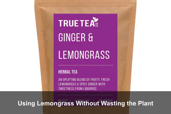 Using Lemongrass Without Wasting the Plant