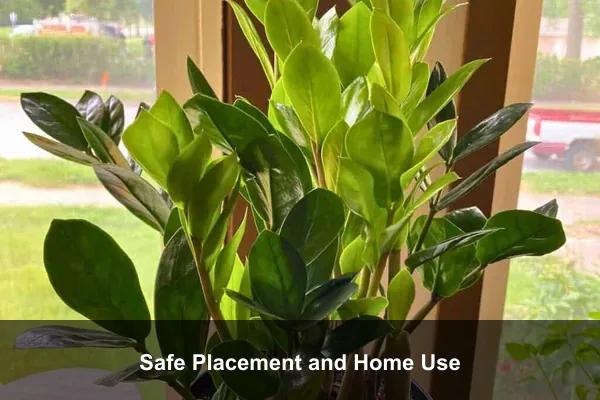 Safe Placement and Home Use