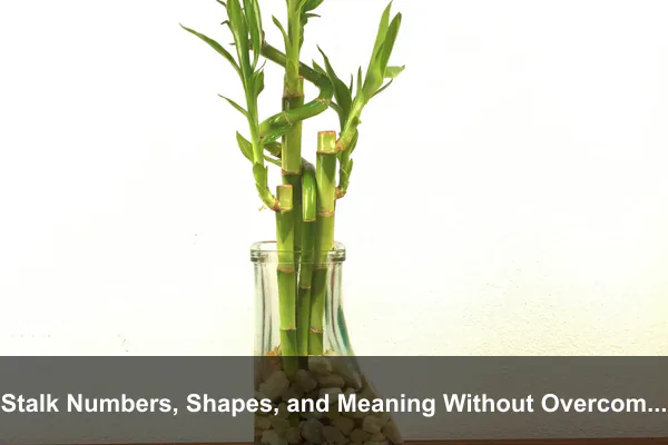 Stalk Numbers, Shapes, and Meaning Without Overcomplication