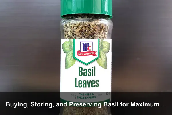 Buying, Storing, and Preserving Basil for Maximum Value