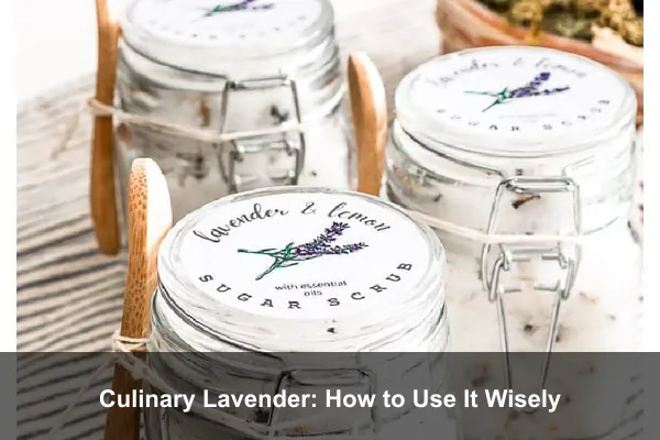 Culinary Lavender: How to Use It Wisely