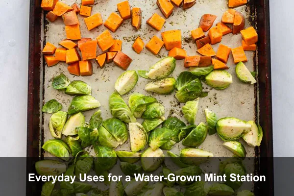Everyday Uses for a Water-Grown Mint Station