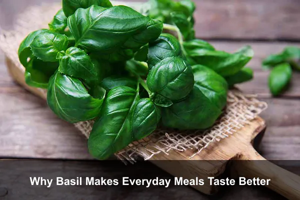 Why Basil Makes Everyday Meals Taste Better