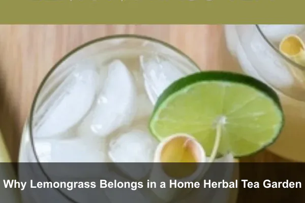 Why Lemongrass Belongs in a Home Herbal Tea Garden