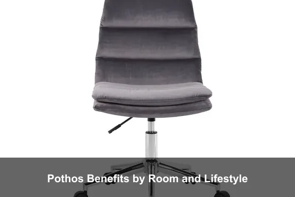 Pothos Benefits by Room and Lifestyle