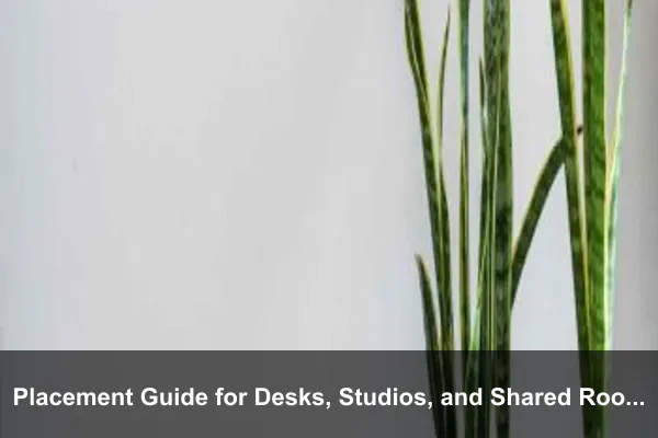 Placement Guide for Desks, Studios, and Shared Rooms