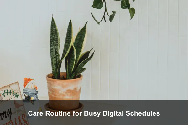 Care Routine for Busy Digital Schedules