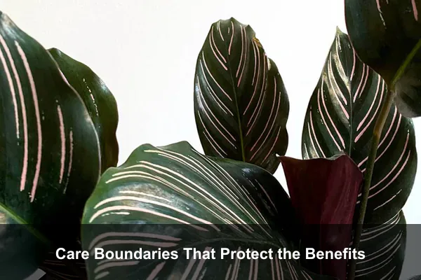 Care Boundaries That Protect the Benefits