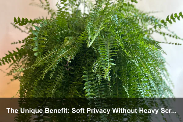 The Unique Benefit: Soft Privacy Without Heavy Screens