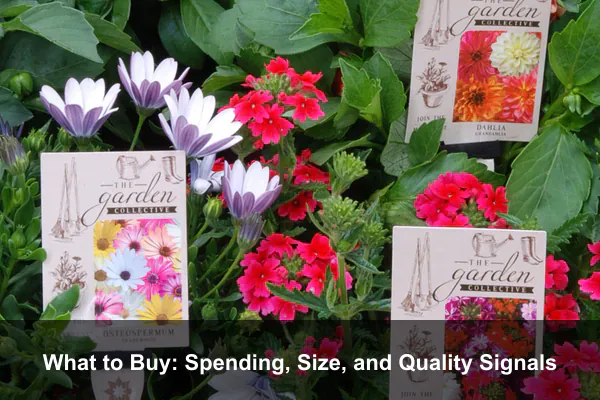 What to Buy: Spending, Size, and Quality Signals