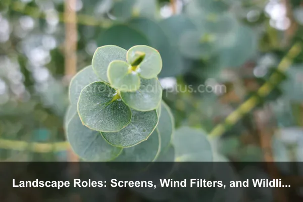Landscape Roles: Screens, Wind Filters, and Wildlife-Aware Planting