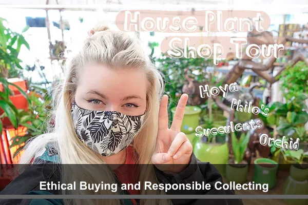 Ethical Buying and Responsible Collecting