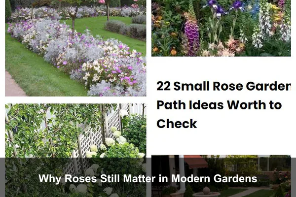 Why Roses Still Matter in Modern Gardens