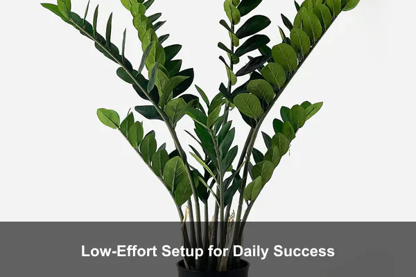 Low-Effort Setup for Daily Success