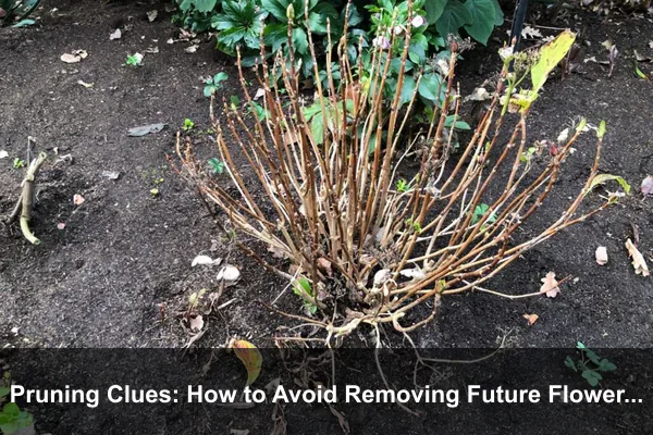 Pruning Clues: How to Avoid Removing Future Flowers