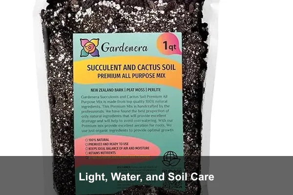 Light, Water, and Soil Care
