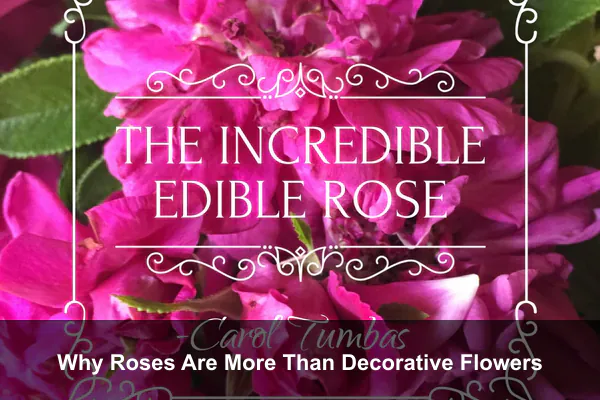 Why Roses Are More Than Decorative Flowers