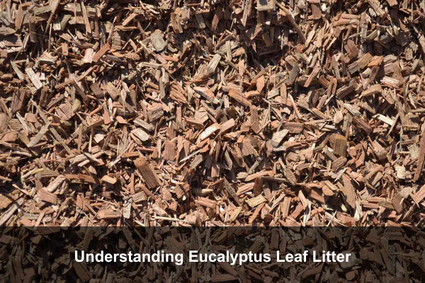 Understanding Eucalyptus Leaf Litter