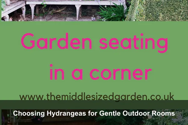 Choosing Hydrangeas for Gentle Outdoor Rooms