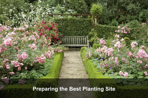 Preparing the Best Planting Site